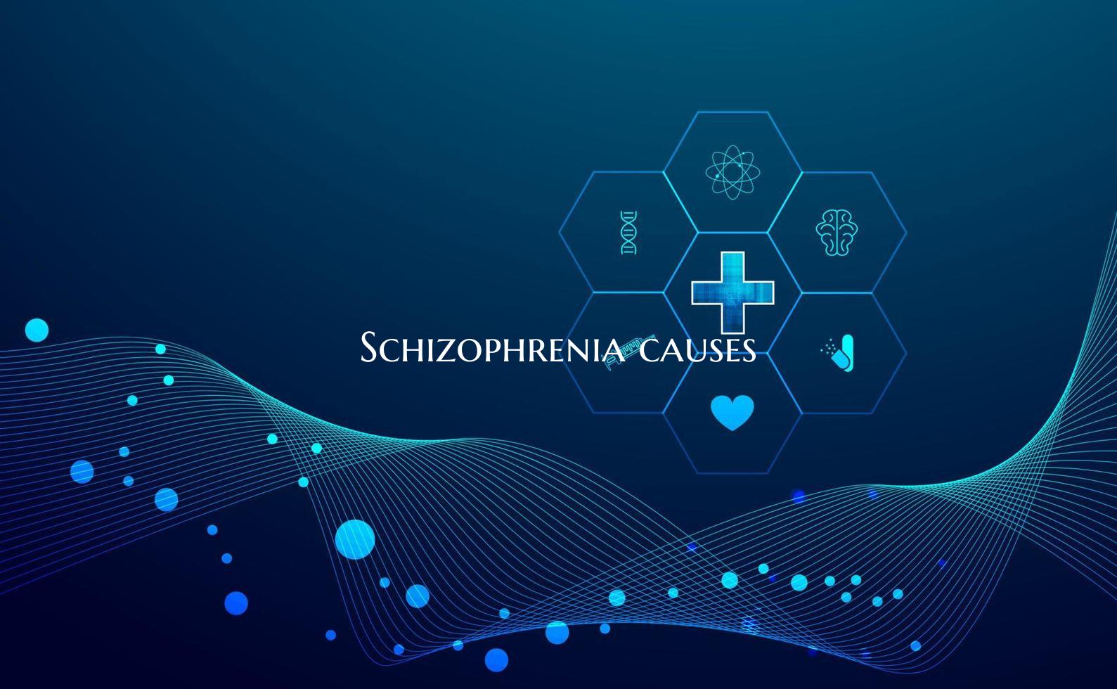 Schizophrenia causes